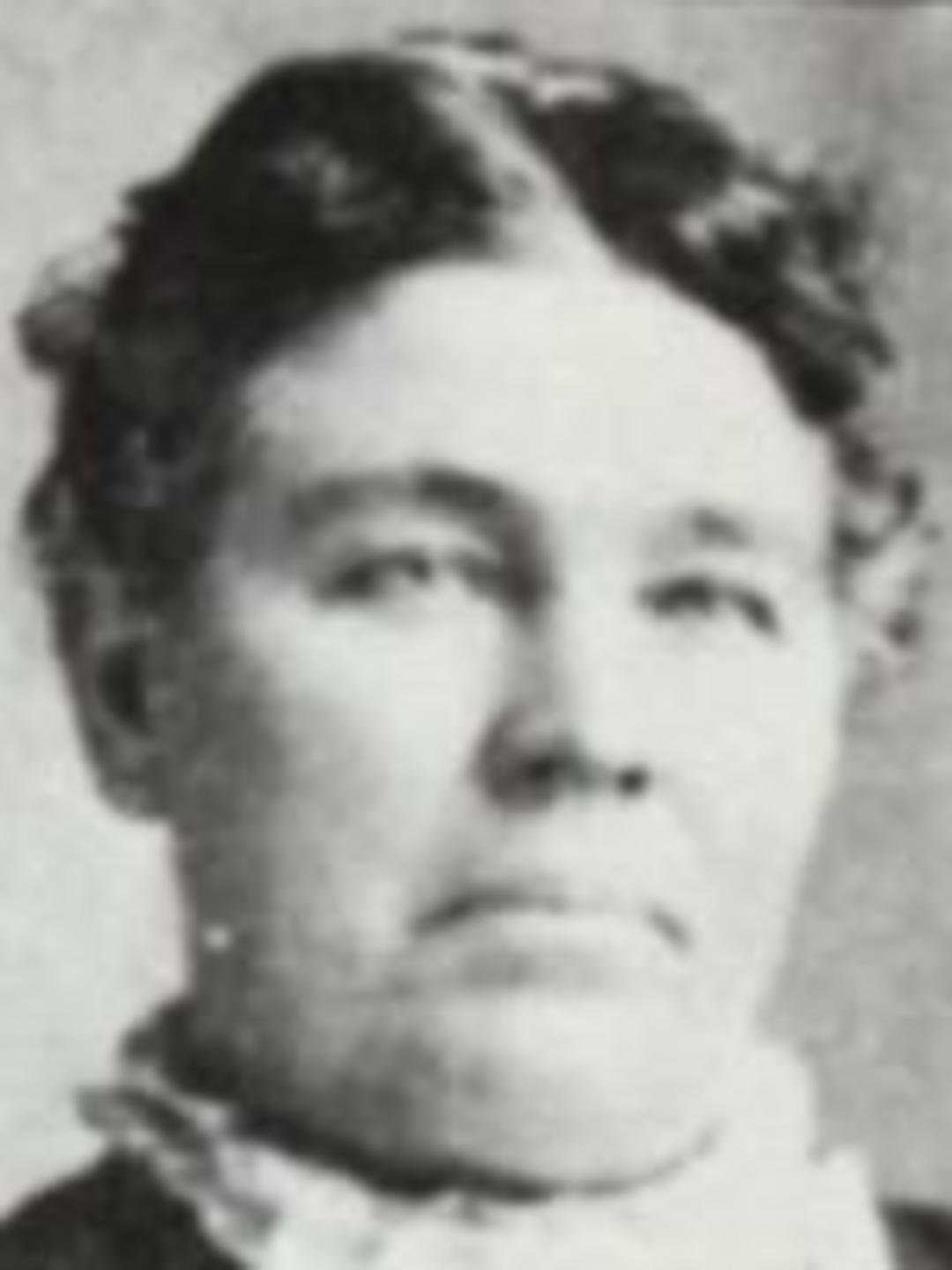 Louisa Maria Shupe (1850 - 1908) Profile